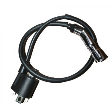 Arora AR100T-2A Special Ateşleme Bobini Euro 5